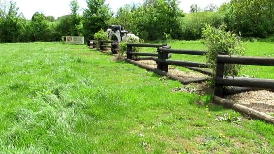 1005663_10153166210195383_500642213_n